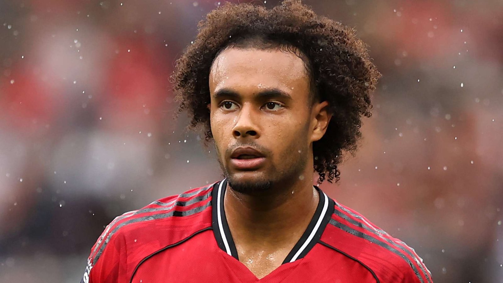 JUVENTUS SU ZIRKZEE
